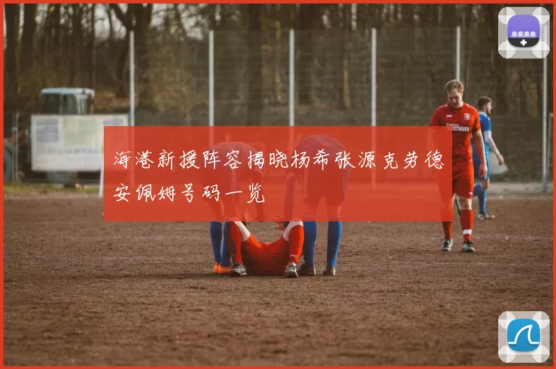海港新援阵容揭晓杨希张源克劳德安佩姆号码一览